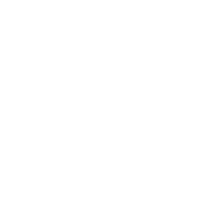 sebrae